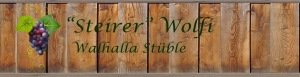 Walhalla Stüble - Steirer Wolfi - Bedienung (m/w)